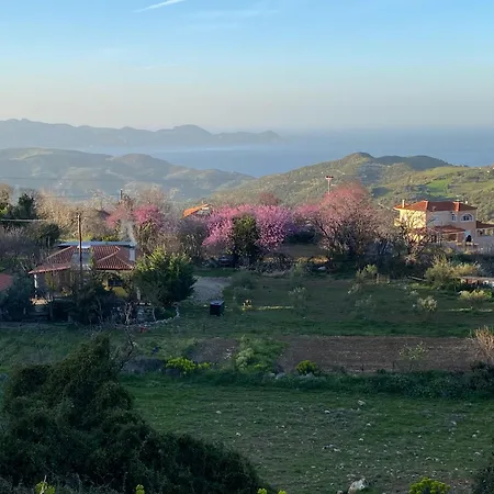 Oktonia Apartments-evia *
